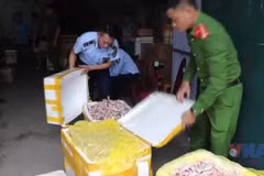 Cận cảnh kho chứa hàng nghìn chân gà, xúc xích, nem chua không rõ nguồn gốc