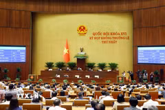 Quốc hội biểu quyết thông qua Luật Phòng, chống phổ biến vũ khí hủy diệt hàng loạt. (Ảnh: Phạm Kiên/TTXVN)