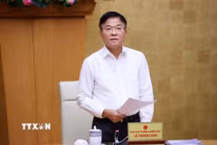 Phó Thủ tướng Lê Thành Long phát biểu chỉ đạo và kết luận phiên họp. (Ảnh: Văn Điệp/TTXVN)
