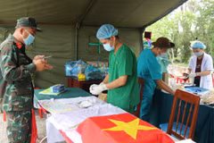 Công tác số hóa, bảo quản mẫu được thực hiện khẩn trương trước khi đưa đi giám định ADN. (Ảnh: Phạm Cường/Vietnam+)