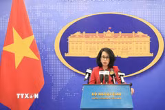 Người phát ngôn Bộ Ngoại giao Phạm Thu Hằng chủ trì họp báo. (Ảnh: Tuấn Anh/TTXVN)