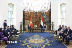 Chủ tịch nước Lương Cường hội đàm chính thức với Tổng thống Ai Cập Abdel Fattah El-Sisi. (Ảnh: Lâm Khánh/TTXVN)