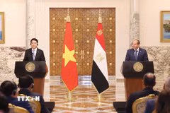 Chủ tịch nước Lương Cường và Tổng thống Ai Cập Abdel Fattah El-Sisi gặp gỡ báo chí, thông báo kết quả hội đàm. (Ảnh: Lâm Khánh/TTXVN)