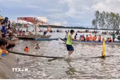 Người dân và du khách háo hức tham gia trải nghiệm các trò chơi dân gian tại ngày hội mùa nước nổi xã Phú Hữu. (Ảnh: Công Mạo/TTXVN)