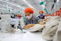 Sản xuất hàng may mặc xuất khẩu tại Công ty TNHH May Tinh Lợi tại khu công nghiệp Lai Vu (Hải Dương). (Ảnh: Danh Lam/TTXVN)