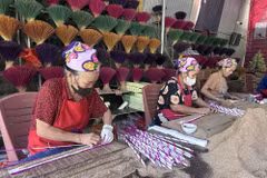 Mô hình trồng cây rễ hương bản địa cung cấp nguyên liệu cho người dân địa phương làm hương trầm truyền thống tại xã Quỳ Châu, Nghệ An mang lại hiệu quả cao. (Ảnh: Bích Huệ/TTXVN)