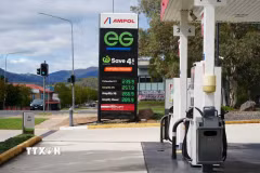 Giá xăng dầu được niêm yết tại một trạm xăng ở Canberra, Australia, ngày 20/3/2026. (Ảnh: THX/TTXVN)