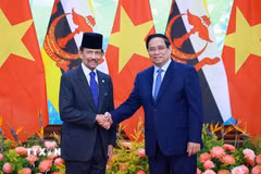 Thủ tướng Phạm Minh Chính hội kiến Quốc vương Brunei Darussalam Haji Hassanal Bolkiah. (Ảnh: Dương Giang/TTXVN)