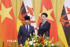 Chủ tịch nước Lương Cường và Quốc vương Brunei Darussalam Haji Hassanal Bolkiah. (Ảnh: Lâm Khánh/TTXVN)