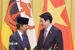 Chủ tịch nước Lương Cường và Quốc vương Brunei Darussalam Haji Hassanal Bolkiah. (Ảnh: Lâm Khánh/TTXVN)