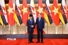 Chủ tịch Quốc hội Trần Thanh Mẫn hội kiến Quốc vương Brunei Darussalam Haji Hassanal Bolkiah. (Ảnh: Doãn Tấn/TTXVN)