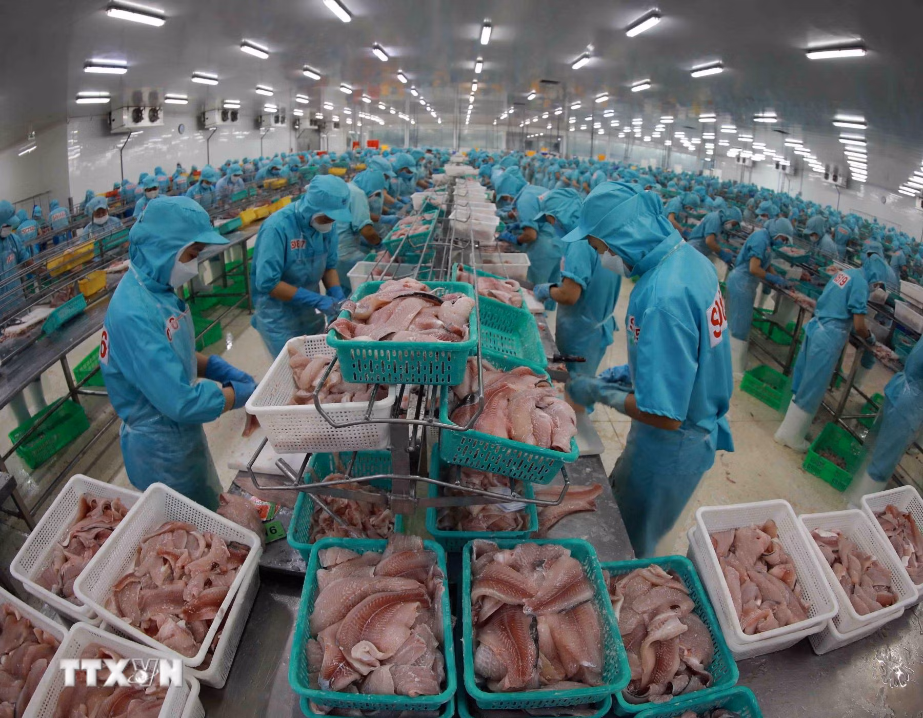 ttxvn_viet-nam-eu-14.jpg