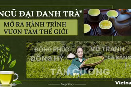 “Ngũ đại danh trà”: Mở ra hành trình vươn tầm thế giới 