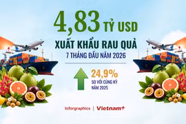 Xuất khẩu rau quả đạt 4,83 tỷ USD, nhiều thị trường tiếp tục được mở cửa