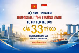 Kim ngạch thương mại 7 tháng đạt gần 33 tỷ SGD khẳng định đà phát triển quan hệ Việt Nam-Singapore 
