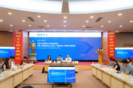 Chính sách có cơ chế chuyển tiếp sẽ tạo động lực cho khu vực tư nhân phát triển