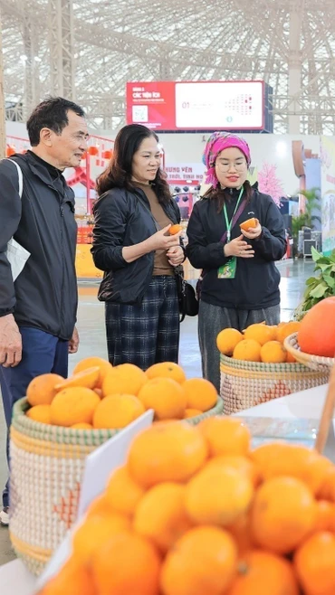 Hội chợ Mùa Xuân: Doanh số khủng từ các gian bán hàng tết