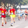 Giải Bán Marathon Quốc tế Việt Nam 2025 dự kiến thu hút gần 5.000 vận động viên tham gia, với tổng giải thưởng bằng tiền mặt lên tới hơn 550 triệu đồng. (Ảnh: VIHM)