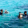 Đội ngũ huấn luyện viên hướng dẫn du khách lặn biển ngắm san hô tại khu vực Bãi Cạn, huyện đảo Phú Quý, tỉnh Bình Thuận. (Ảnh: Nguyễn Thanh/TTXVN)