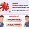 Thông tin mới nhất về bệnh đường hô hấp do virus HMPV