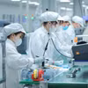 Việt Nam đã và đang triển khai chiến lược đào tạo nhân lực chất lượng cao ngành công nghiệp bán dẫn. (Ảnh minh họa. Hoàng Hiếu/TTXVN)