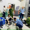 Lực lượng chức năng tiến hành kiểm tra đối với Công ty TNHH thương mại và Xuất nhập khẩu quốc tế Vĩnh Phát. (Nguồn: TTXVN)