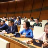 Quốc hội thông qua nhiều luật và nghị quyết quan trọng. (Ảnh: TTXVN)