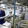 Hoạt động sản xuất tại Chi nhánh Công ty Trách nhiệm hữu hạn Toyoda Gosei Hải Phòng, Khu công nghiệp Tiền Hải, huyện Tiền Hải, tỉnh Thái Bình. (Ảnh: Thu Hoài/TTXVN)