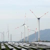 Dự án nhà máy điện gió Trung Nam tại huyện Thuận Bắc đóng góp đáng kể vào tăng trưởng GRDP của tỉnh Ninh Thuận. (Ảnh: Công Thử/TTXVN)