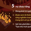 Cháy rừng tại Mỹ: Thiệt hại ước tính gần 150 tỷ USD