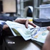 Kiểm tiền USD tại quầy giao dịch ngoại hối. (Ảnh: THX/TTXVN)