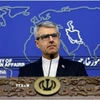 Người phát ngôn Bộ Ngoại giao Iran Esmaeil Baqaei phát biểu họp báo tại Tehran. (Ảnh: IRNA/TTXVN)