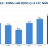 Năm 2024: Lực lượng lao động cả nước tăng 575.400 người 