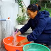 Người dân sử dụng nguồn nước sạch. (Ảnh: Tá Chuyên/TTXVN)
