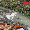 Nhiều loại rác thải, nước thải sinh hoạt ùn ứ lâu ngày, không được tiêu thoát... bốc mùi hôi thối nồng nặc. (Ảnh: Thế Đoàn/báo Tin tức)