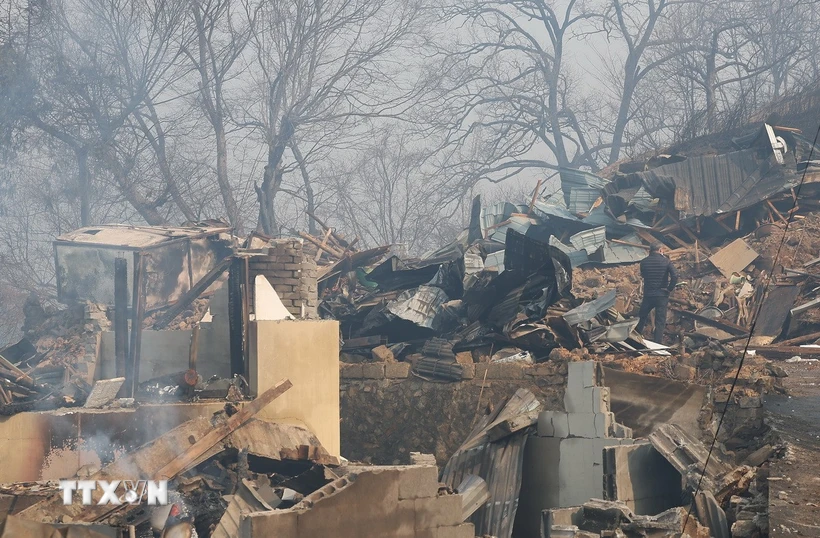 Une maison incendiée par un feu de forêt à Uiseong, à 180 km au sud-est de Séoul, la capitale sud-coréenne. (Photo : Yonhap/VNA)