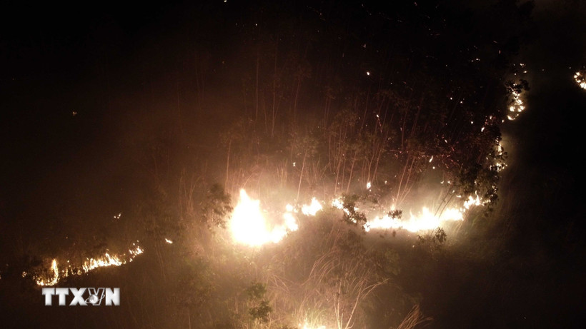 (Ảnh minh họa: Hoàng Hùng/TTXVN)