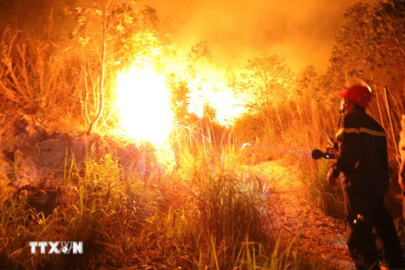 Lực lượng chữa cháy tích cực tạo các hào chữa cháy, ngăn lửa lan sang khu vực khác. (Ảnh: Hoàng Hùng/TTXVN)