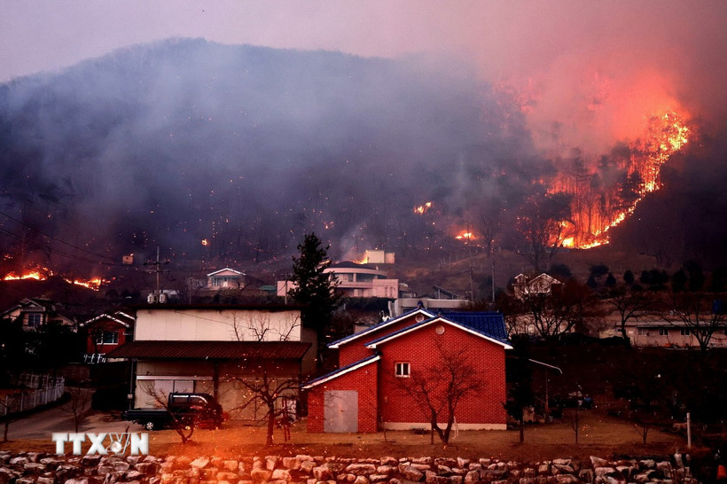 Cháy rừng dữ dội tại Andong, tỉnh Bắc Gyeongsang, Hàn Quốc ngày 25/3/2025. (Ảnh: THX/TTXVN)