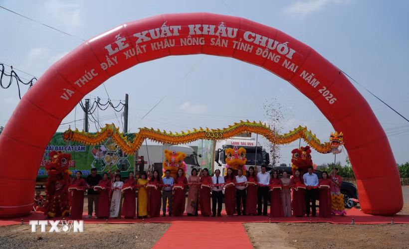 Lãnh đạo tỉnh Đồng Nai phát lệnh xuất phát xe chở lô hàng chuối tươi xuất khẩu. (Ảnh: Lê Xuân/TTXVN)