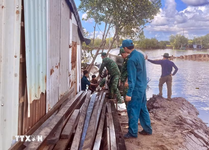 Cán bộ chiến sỹ Đồn Biên phòng Năm Căn (Cà Mau) hỗ trợ các hộ dân tại ấp Trại Lưới B, xã Đất Mới, di dời tài sản sau sạt lở. (Ảnh: TTXVN phát)
