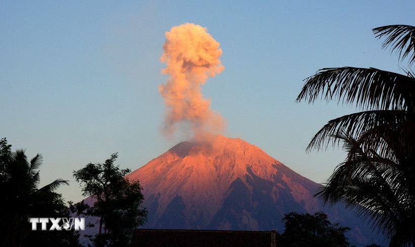 Tro bụi phun lên từ núi lửa Semeru, nhìn từ Lumajang, Đông Java, Indonesia. (Ảnh: THX/TTXVN)