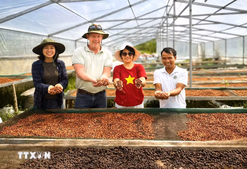 Chuyên gia Harro Boekhold chia sẻ: Khe Sanh không cần trở thành bản sao của bất kỳ vùng càphê nổi tiếng nào trên thế giới; giá trị của vùng đất này nằm ở câu chuyện về con người, hạt càphê và hành trình từ chiến tranh đến hòa bình. (Ảnh: TTXVN phát)