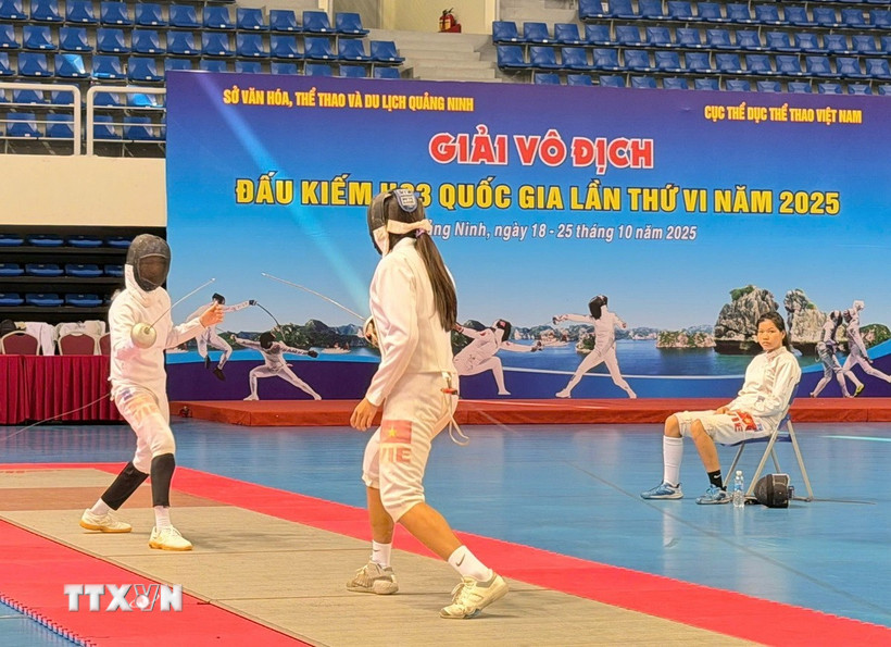 (Ảnh minh họa: Thanh Vân/TTXVN)