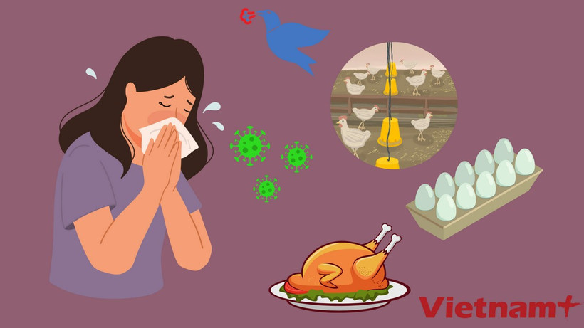 Ảnh minh họa. (Nguồn: Vietnam+)