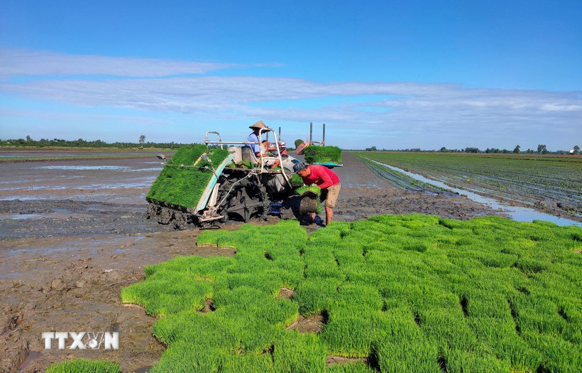 Hợp tác xã Dịch vụ nông nghiệp Mỹ Đông 2 (huyện Tháp Mười) đẩy mạnh cơ giới hóa trong sản xuất nông nghiệp. (Ảnh: Nhựt An/TTXVN)