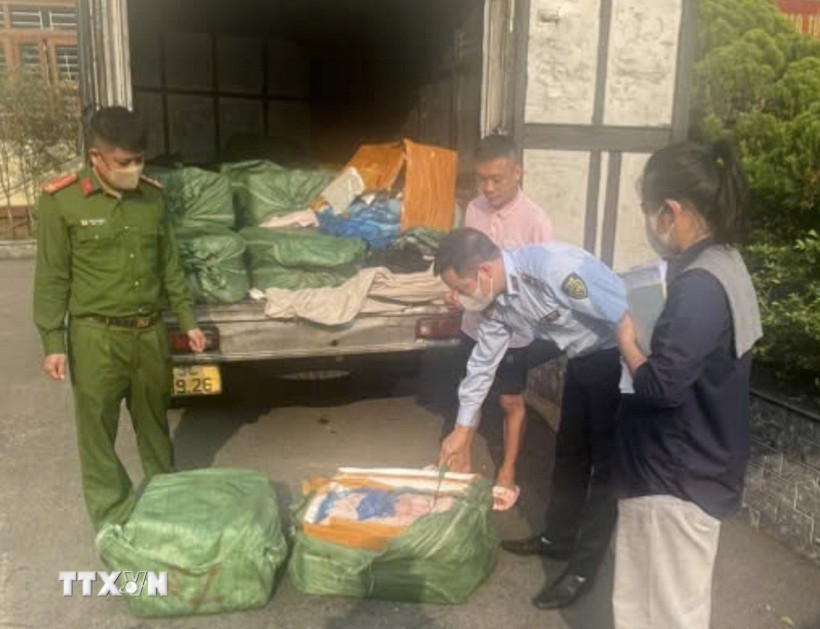 Lực lượng chức năng kiểm tra xe tải 29C-639.26 phát hiện hơn 1,3 tấn nầm lợn đổi màu, bốc mùi. (Ảnh: TTXVN phát)