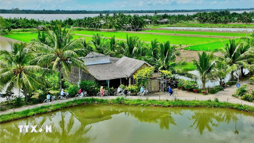 Không gian xanh tại điểm du lịch cộng đồng Cồn Chim. (Ảnh: TTXVN phát)