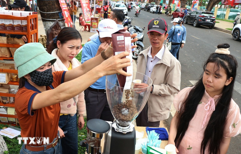 Du khách tìm hiểu về quy trình pha chế càphê tại chương trình cà phê miễn phí ở thành phố Buôn Ma Thuột. (Ảnh: Tuấn Anh/TTXVN)