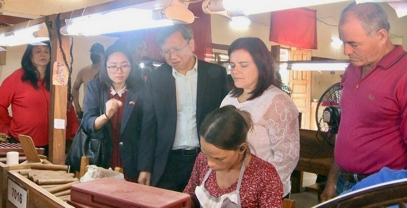 Đại sứ Lê Quang Long tìm hiểu quy trình cuốn thuốc lá thủ công tỉ mỉ, một nghệ thuật truyền thống được gìn giữ qua nhiều thế hệ tại Cuba. (Ảnh: Mai Phương/TTXVN)